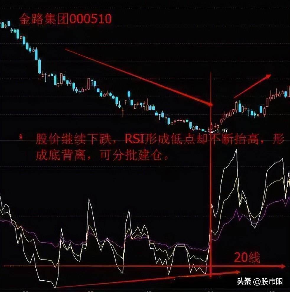 坐上中国船舶的老太太告诉你只有傻瓜才能在股市中赚到钱?