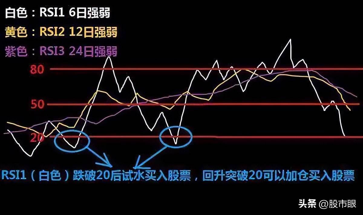 坐上中国船舶的老太太告诉你只有傻瓜才能在股市中赚到钱?