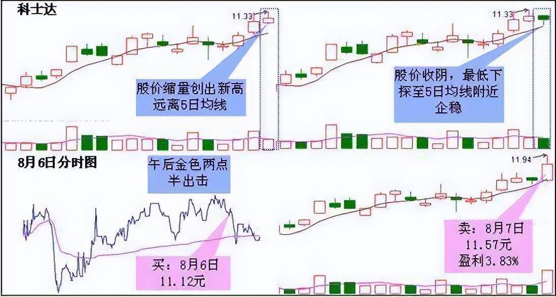 上海一位老股民坦言炒股多年坚持只看一条线,散户纷纷点赞