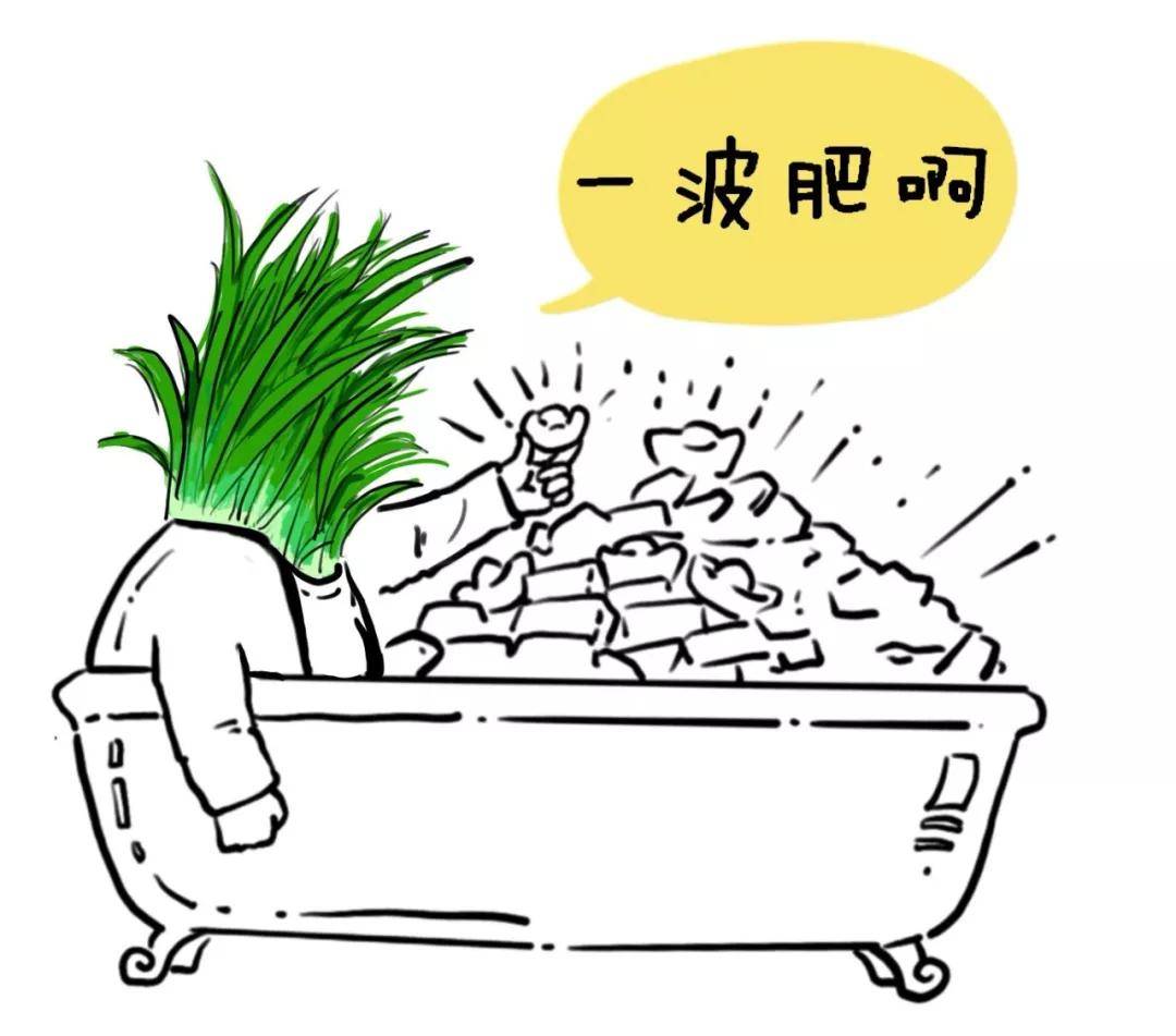 在中国股市真正赚钱的只有这种人善于等待和耐心持有散户须知