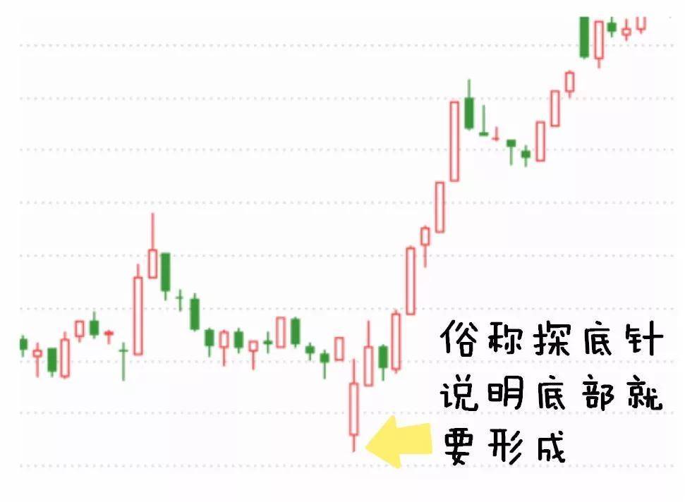 交易纪律每天开盘前看三遍