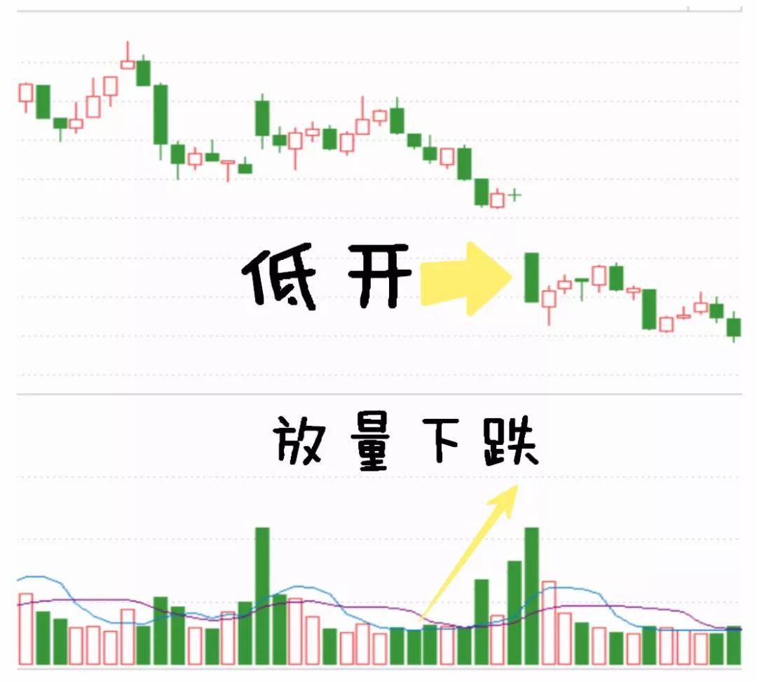 交易纪律每天开盘前看三遍