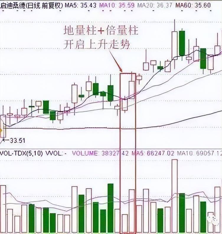 一位股市天才的肺腑之言低量柱擒拿涨停的窍门反复阅读10遍