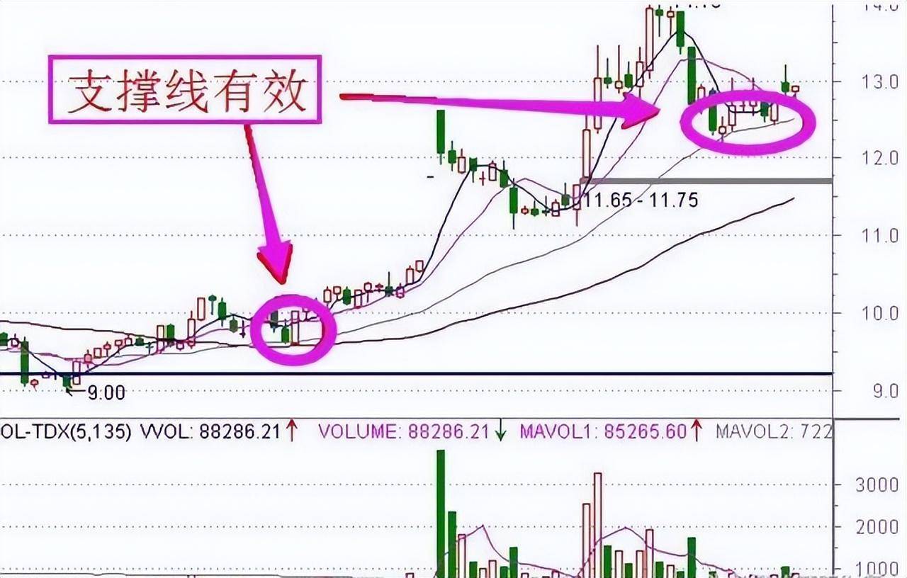 一位职业股民的终极悟道主力偷偷做庄的手段散户阅读10遍