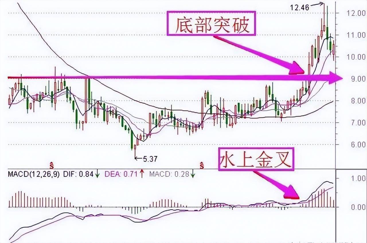 一位职业股民的终极悟道主力偷偷做庄的手段散户阅读10遍