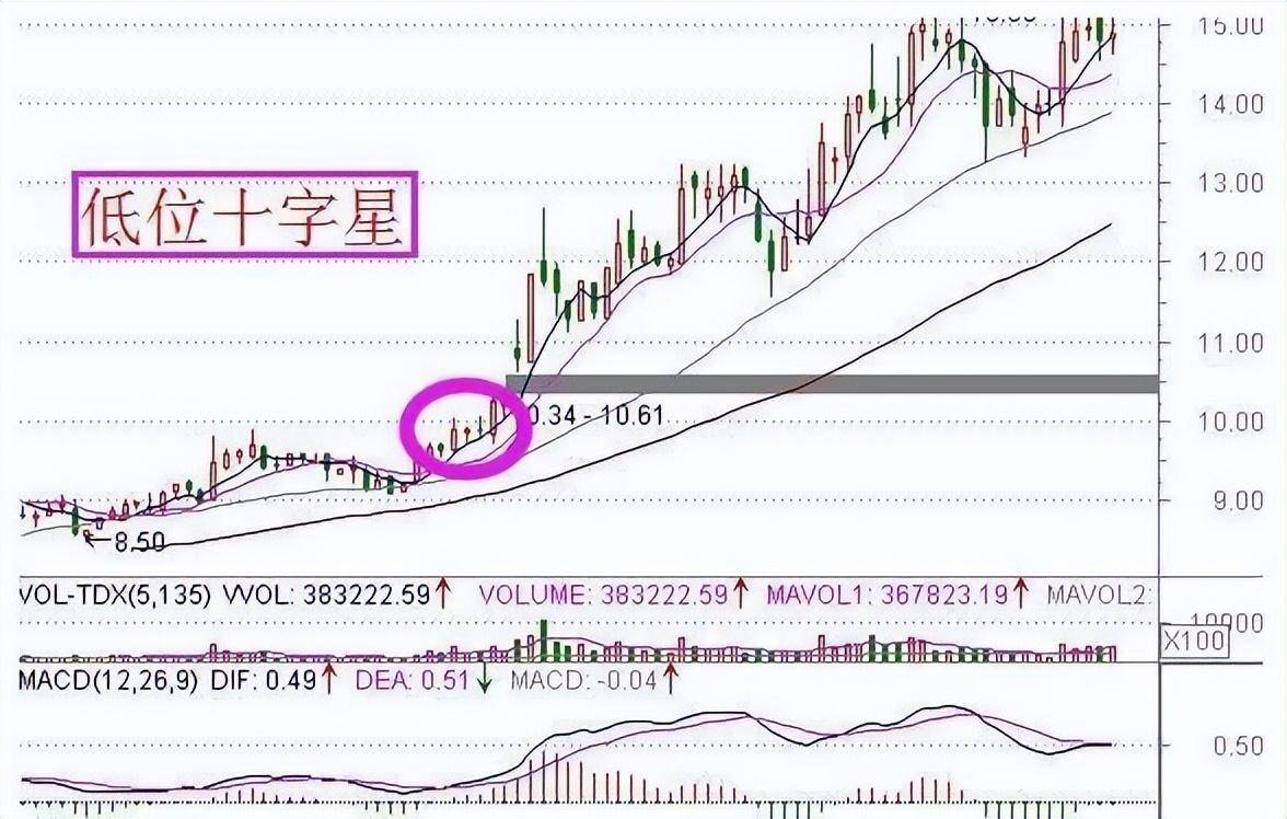一位职业股民的终极悟道主力偷偷做庄的手段散户阅读10遍