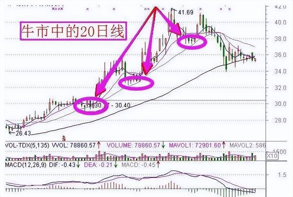 一位职业股民的终极悟道主力偷偷做庄的手段散户阅读10遍