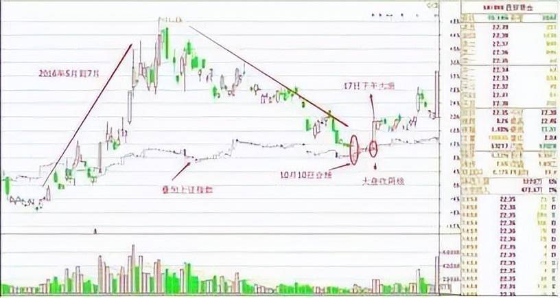 中国股市不骗人的主力异动3分钟带你了解别错过主升浪