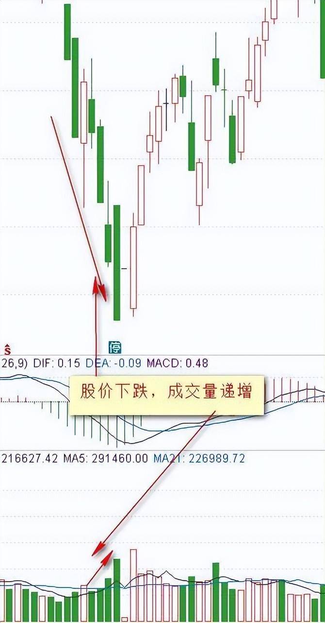 唯一不败黄金指标成交量看透主力全程坐庄动作堪称经典