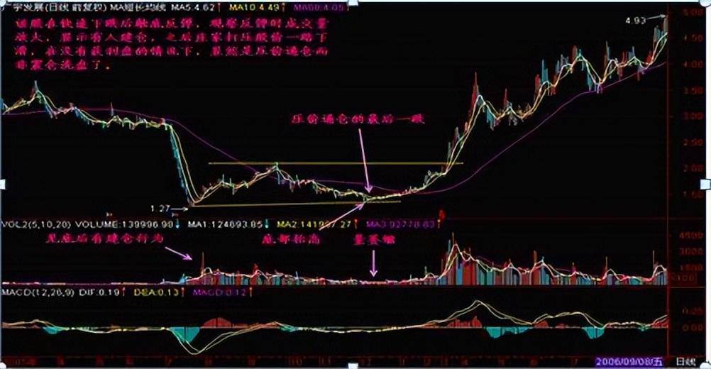 只因压价逼仓和震仓洗盘区分开了悟透离盈利就不远了