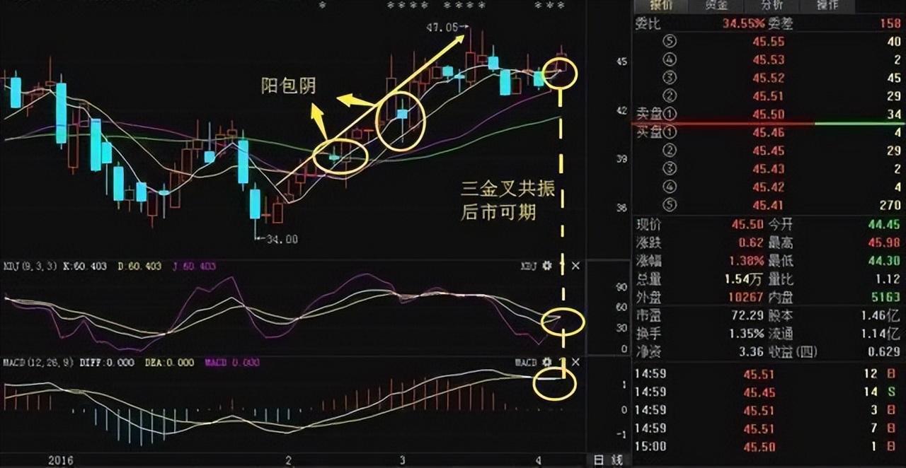 中国股市牢记强势股形态强势股难逃手心大道至简