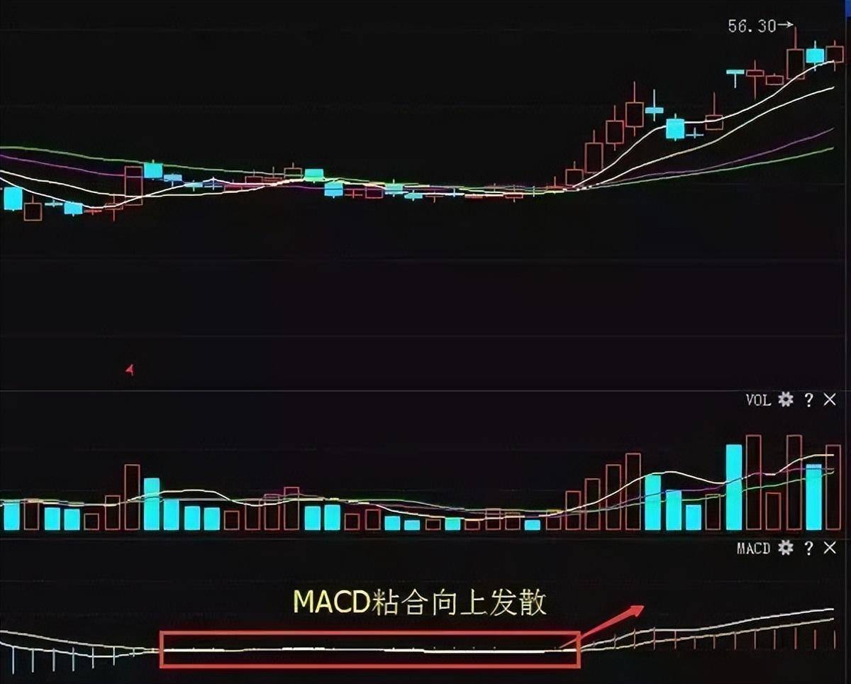一位主力操盘手退役感言极少人能理解买卖却十分有效