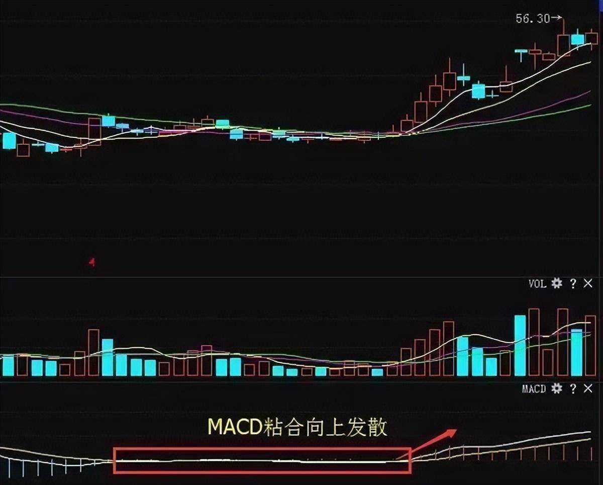 一位主力操盘手述说中国股市终于处于可控制状态