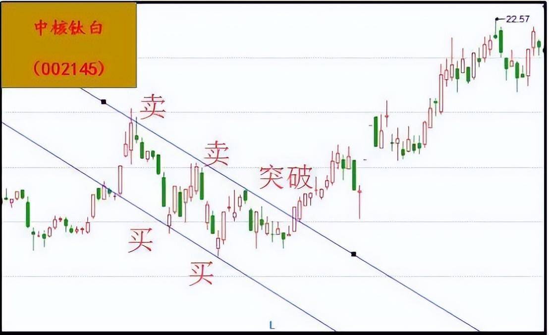 中国股市顶级操盘手的分析A股黑天鹅落水历史将不会再重演