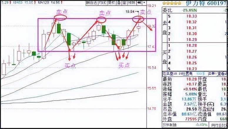 中国股市顶级操盘手的分析A股黑天鹅落水历史将不会再重演