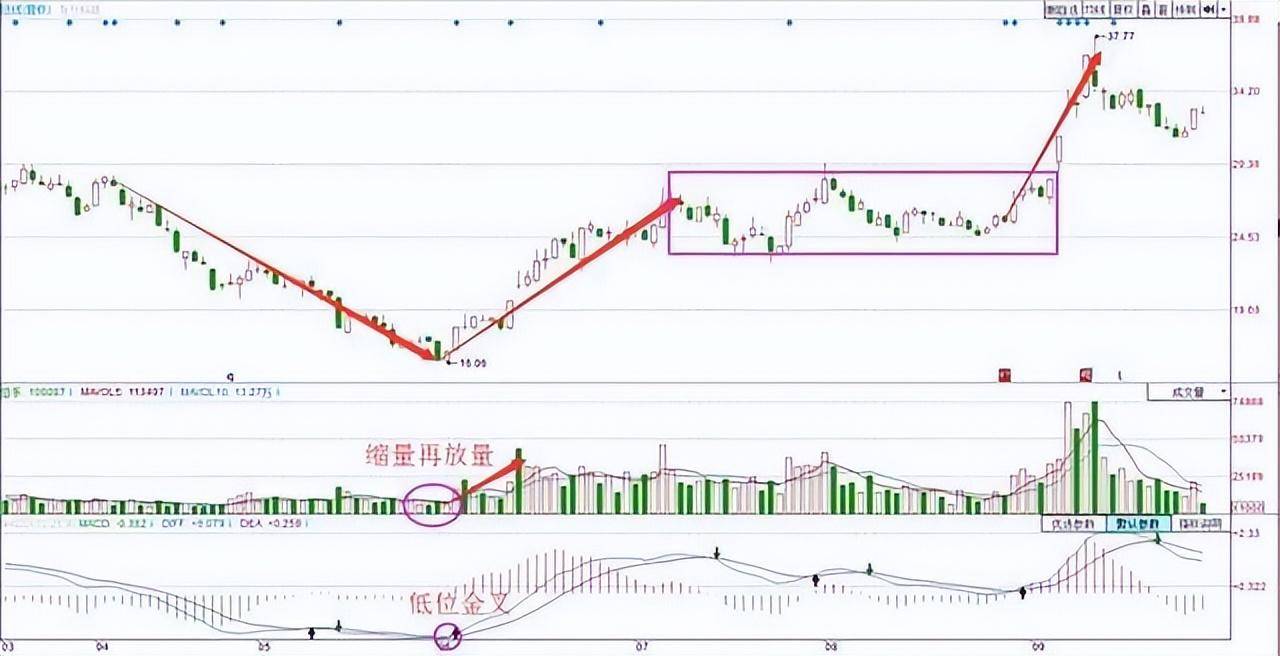 中国股市顶级操盘手的分析A股黑天鹅落水历史将不会再重演