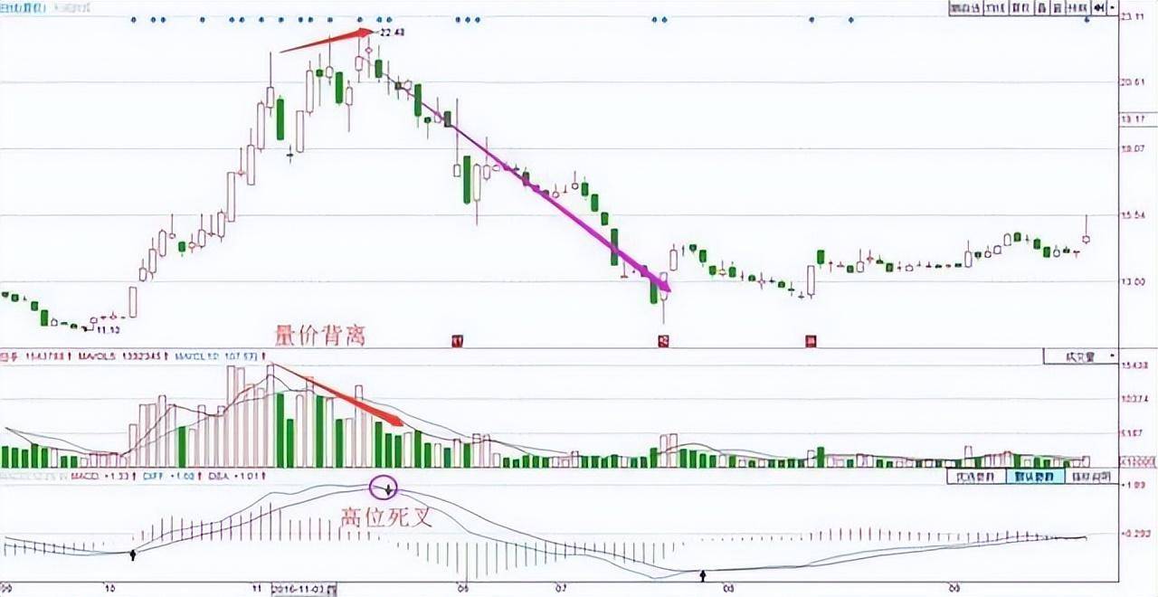 中国股市顶级操盘手的分析A股黑天鹅落水历史将不会再重演