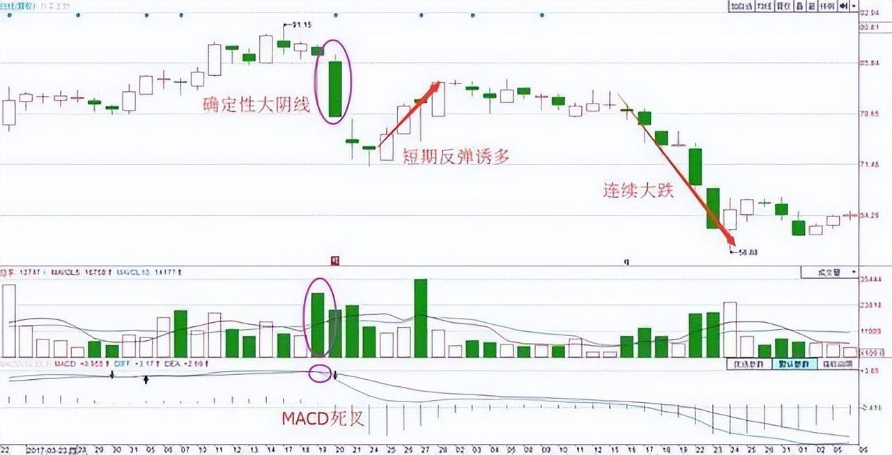 中国股市顶级操盘手的分析A股黑天鹅落水历史将不会再重演