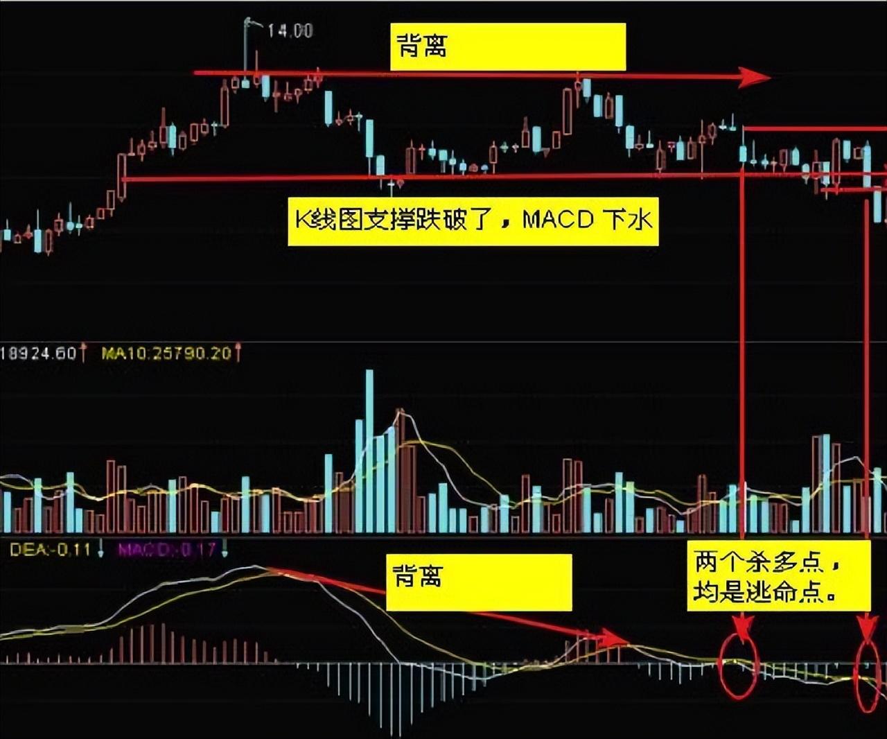 交易真正厉害的人死记一个MACD指标你赚钱的功力日益精进