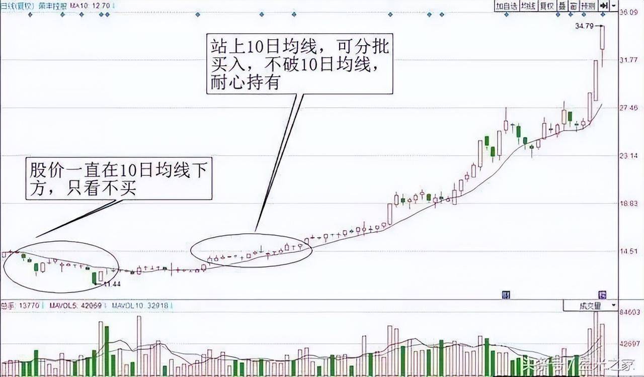 一位精明交易者的感悟死守一根线日进斗金并非难事