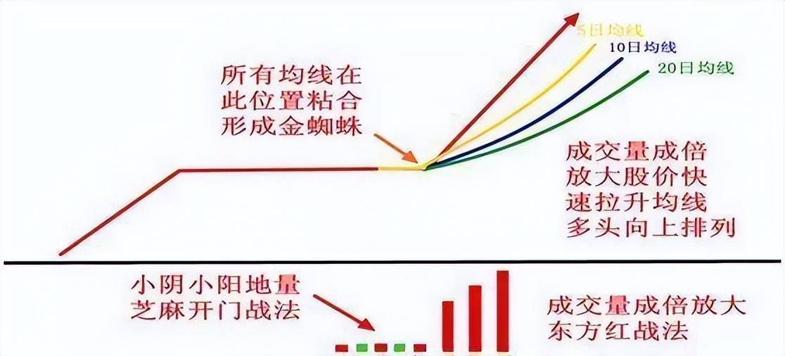 散户一遇到金蜘蛛形态果断满仓庄家抬轿直线飙升
