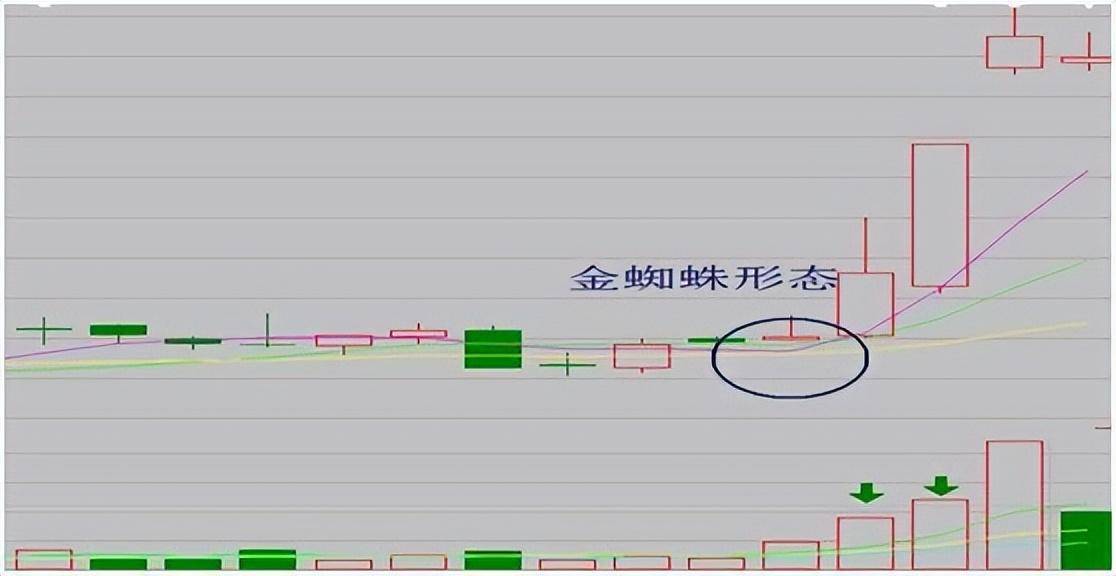 散户一遇到金蜘蛛形态果断满仓庄家抬轿直线飙升