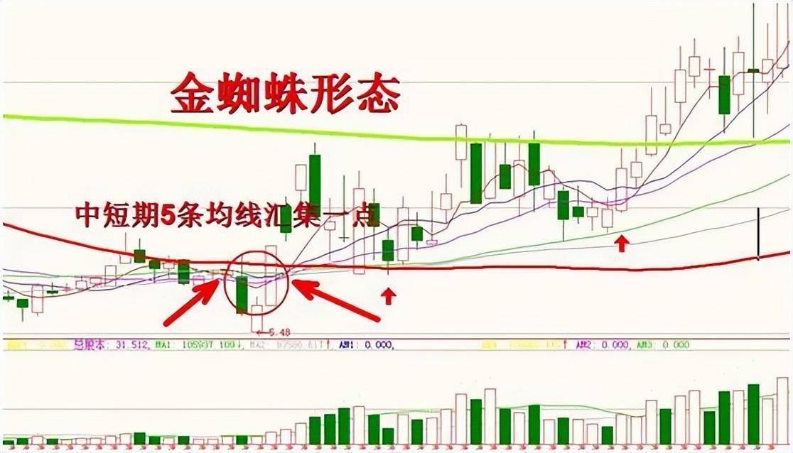 散户一遇到金蜘蛛形态果断满仓庄家抬轿直线飙升