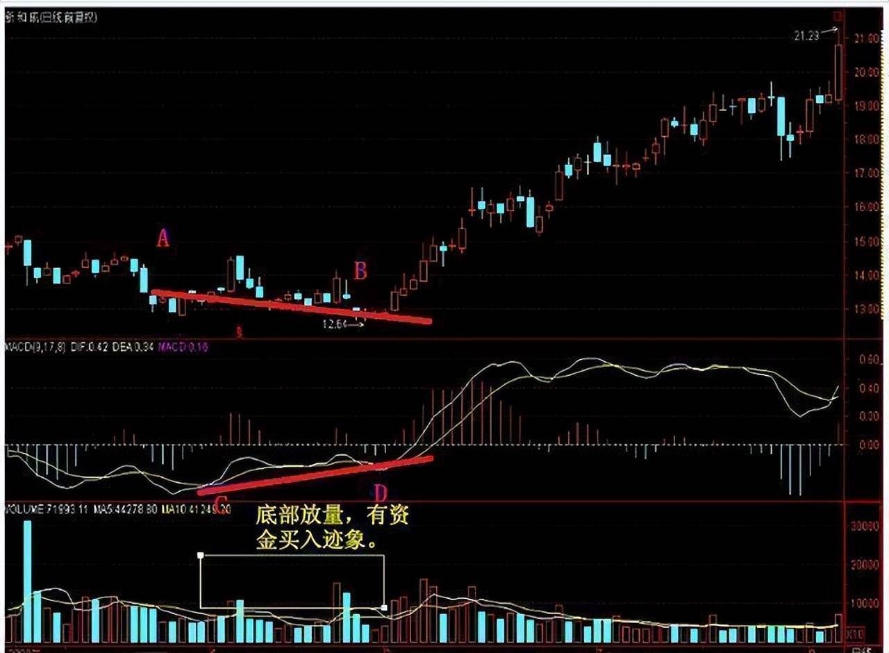 华尔街天才交易员的技巧分享极散户知道越多散户知道越好