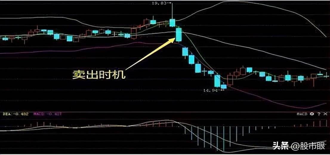 股市股坛第一人坦言股市小资金做大的唯一方式建议每天读一遍