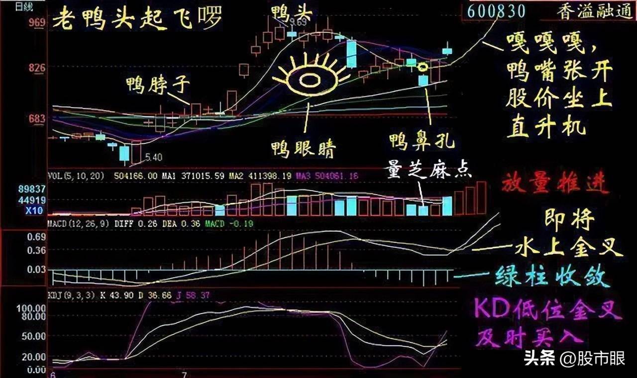 股市最稳当的笨方法交易只做老鸭头形态股票大道至简