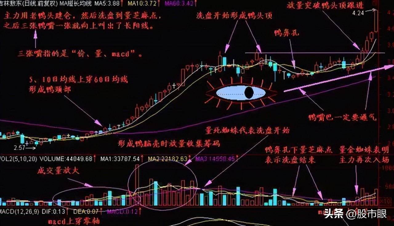 股市最稳当的笨方法交易只做老鸭头形态股票大道至简