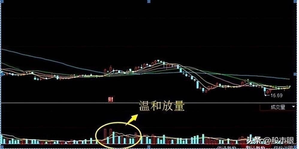 哪些机构在股市中算得上是庄家？散户增长知识来了