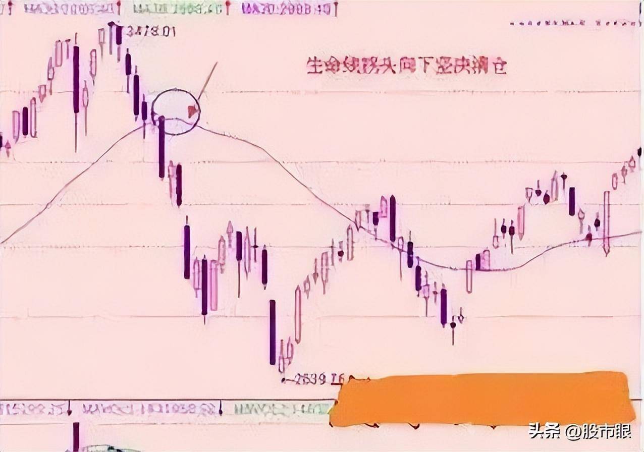 股市真正精明的交易者只有一种人每天认真读三遍少走10年弯路