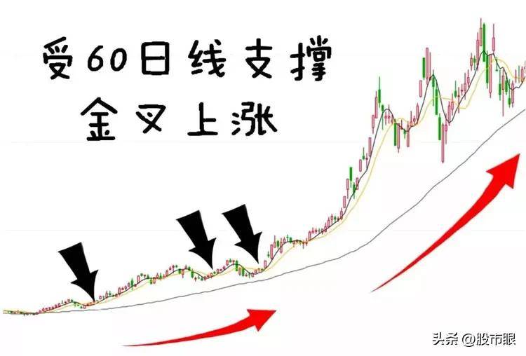 终于有人把老鸭头战法讲透了我整整读了10遍从未失手