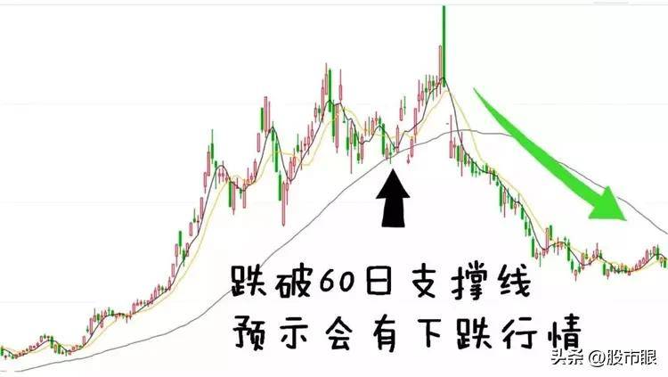 终于有人把老鸭头战法讲透了我整整读了10遍从未失手