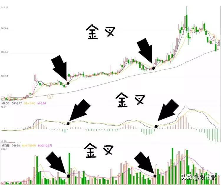 终于有人把老鸭头战法讲透了我整整读了10遍从未失手