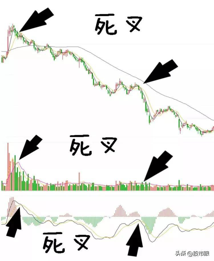 终于有人把老鸭头战法讲透了我整整读了10遍从未失手