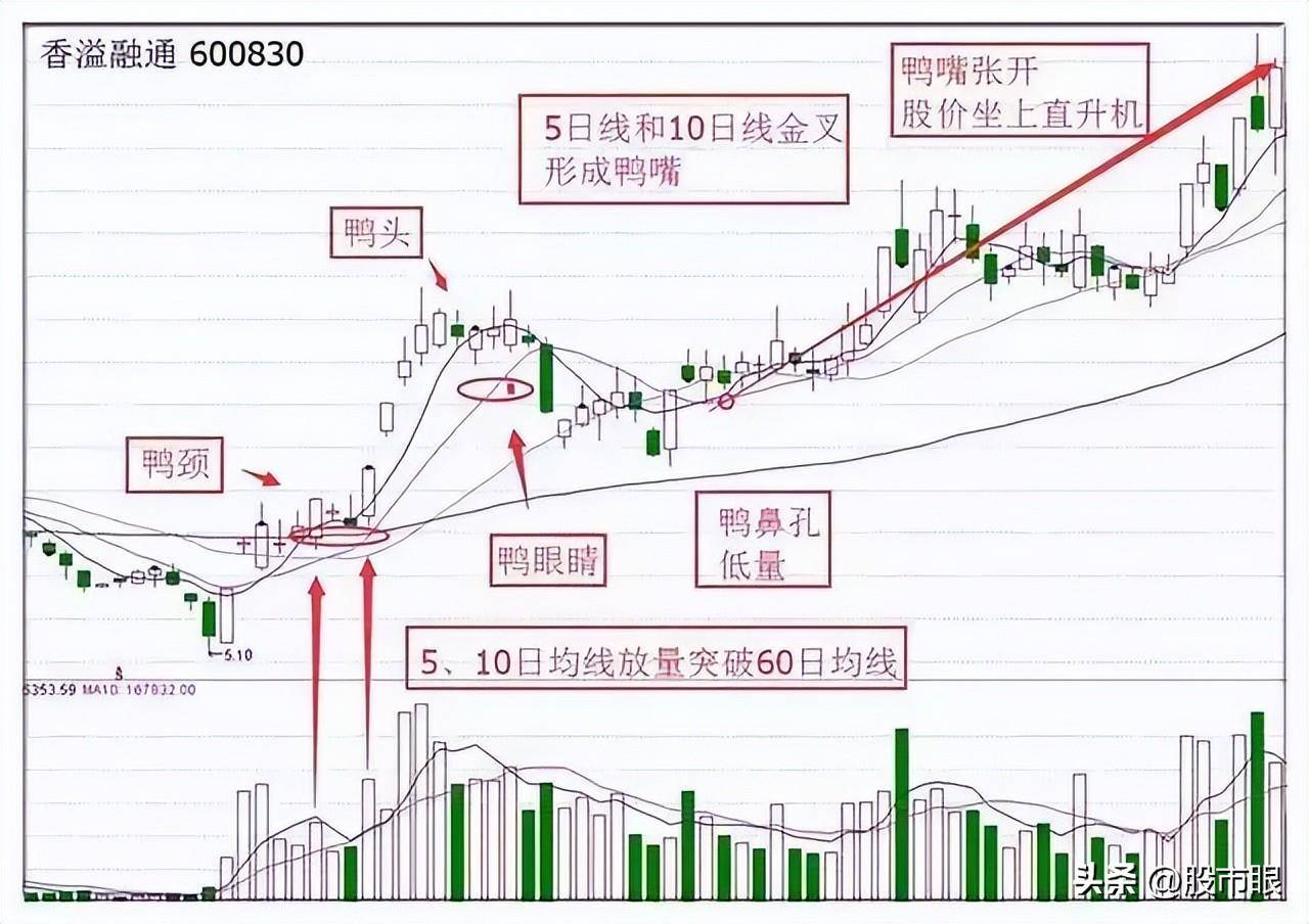 终于有人把老鸭头战法讲透了我整整读了10遍从未失手