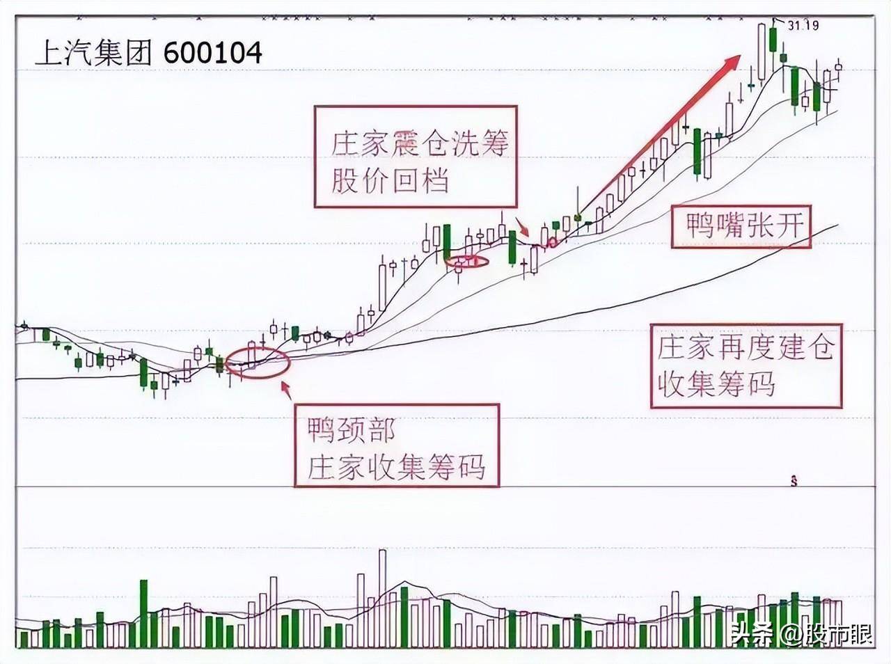 终于有人把老鸭头战法讲透了我整整读了10遍从未失手