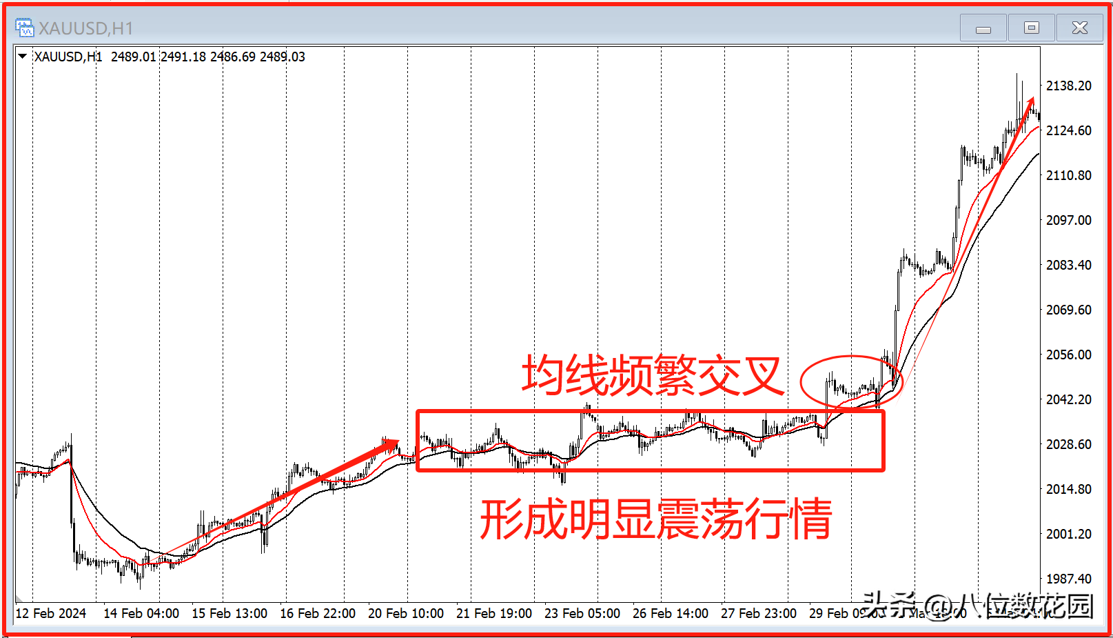 怎么判断一个品种要发生大行情了？