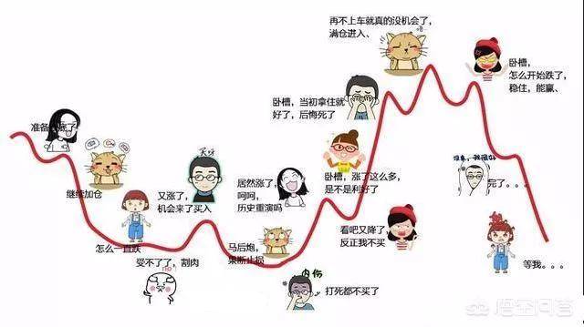 止损永生止损的重要性
