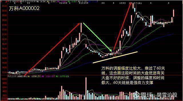 龙回头战法详解简单实用建议每天读一遍