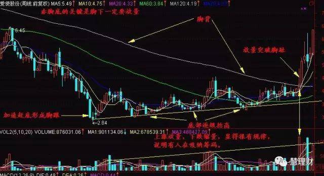 一脚踢出大黑马这类图形买买买