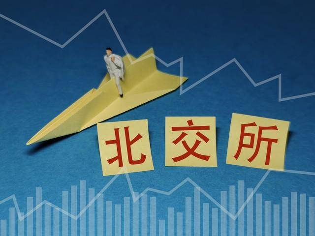 入门必读炒股初级教程股票的定义