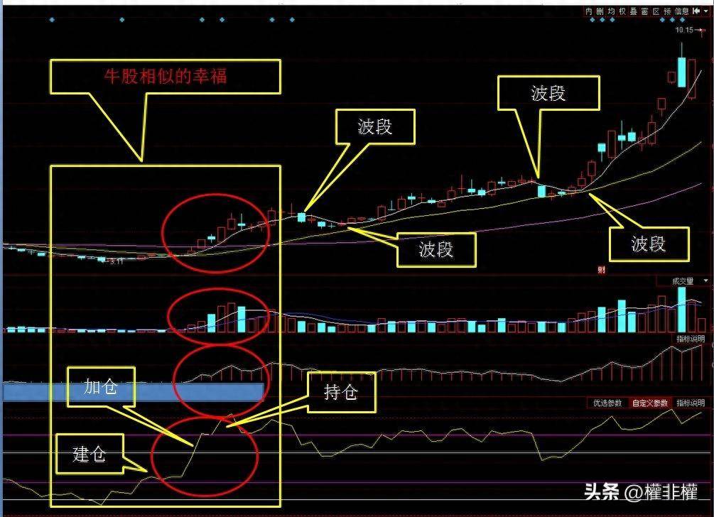 案例趋势股如何波段操作