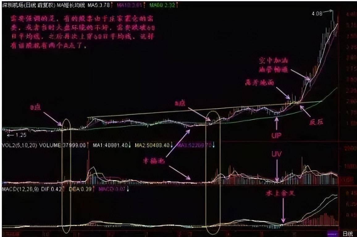 北大一女博士说破股市最神奇的60日均线看懂躺进富豪区