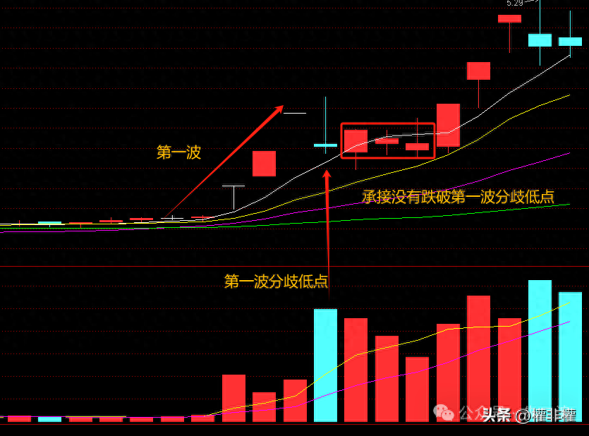 高度板的逻辑主升反弹跟超跌反弹的区别