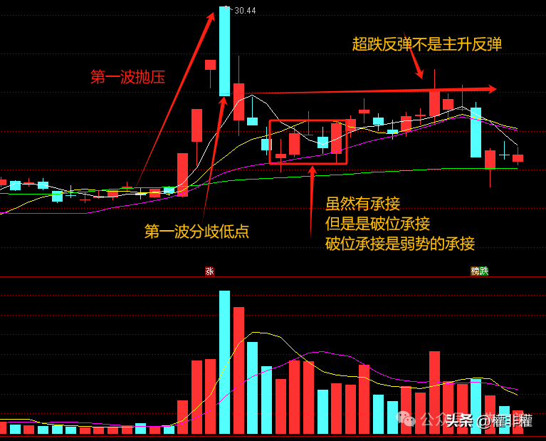 高度板的逻辑主升反弹跟超跌反弹的区别