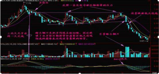 庄家洗盘结束标志倒拔杨柳形态暗示空头已尽赚5个涨停