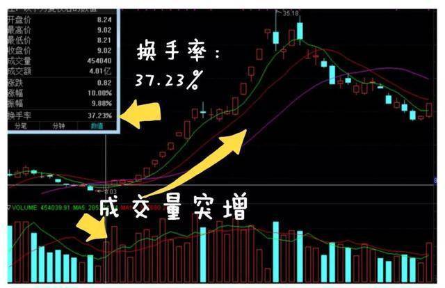 北大女博士说破股市炒股只看换手率就足够稳定盈利不是问题